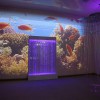 Проекционный дизайн "Виртуальная реальность" базовый комплект 500 анимаций - «globural.ru» - Волгодонск