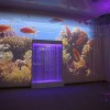 Проекционный дизайн "Виртуальная реальность" безлимитный комплект 1200 анимаций - «globural.ru» - Волгодонск