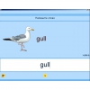 Английский язык. Освоение клавиатуры - «globural.ru» - Волгодонск