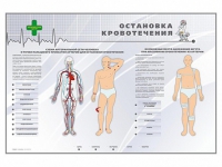 Электрифицированный стенд "Остановка кровотечения" - «globural.ru» - Волгодонск