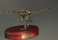 Модель скелета динозавра Velociraptor - «globural.ru» - Волгодонск