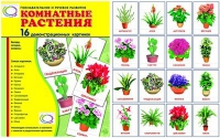 Демонстрационные карточки "Комнатные растения" - «globural.ru» - Волгодонск