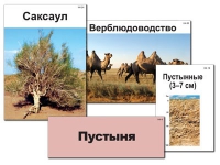 Модель-аппликация "Природные зоны России" - «globural.ru» - Волгодонск
