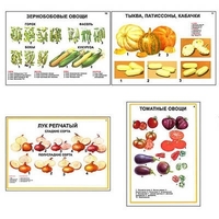Плакаты ПРОФТЕХ "Ассортимент овощных культур" (12 пл, винил, 70х100) - «globural.ru» - Волгодонск