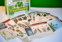Гербарий к курсу основ общей биологии - «globural.ru» - Волгодонск