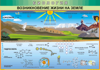 Таблица Возникновение жизни на Земле 1000*1400 винил - «globural.ru» - Волгодонск