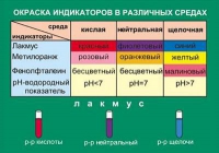 Таблица Окраска индикаторов в различных средах (винил) - «globural.ru» - Волгодонск