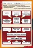 ОБЖ Здоровый образ жизни (комплект таблиц) - «globural.ru» - Волгодонск