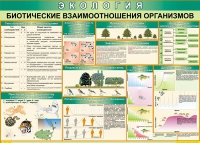 Таблица Биотические взаимоотношения организмов 1000*700 (винил) - «globural.ru» - Волгодонск