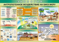 Таблица Антропогенное воздействие на биосферу 1000*700 винил - «globural.ru» - Волгодонск