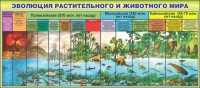 Стенд "Эволюция растительного и животного мира" - «globural.ru» - Волгодонск