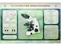 Электрифицированный стенд "Устройство микроскопа и правила работы c ним" - «globural.ru» - Волгодонск