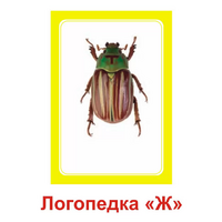Логопедка "Ж" (логопедические карточки) - «globural.ru» - Волгодонск