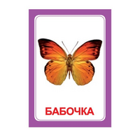 Логопедка "Ч" (логопедические карточки) - «globural.ru» - Волгодонск