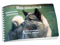 Пособие для слабовидящих "Домашние животные" - «globural.ru» - Волгодонск
