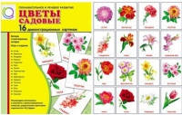Демонстрационные карточки "Цветы садовые" - «globural.ru» - Волгодонск