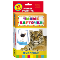 Карточки Домана "Животные" - «globural.ru» - Волгодонск