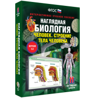 Наглядная биология. Человек. Строение тела человека - «globural.ru» - Волгодонск
