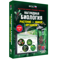 Наглядная биология. Растение - живой организм - «globural.ru» - Волгодонск