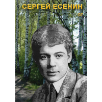 DVD Сергей Есенин - «globural.ru» - Волгодонск