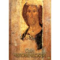 DVD Сын Человеческий (от Библии к Евангелию) - «globural.ru» - Волгодонск