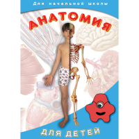 DVD  Анатомия для детей - «globural.ru» - Волгодонск