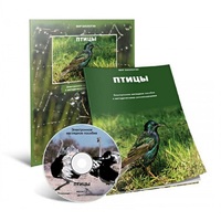Электронное наглядное пособие «Птицы» - «globural.ru» - Волгодонск