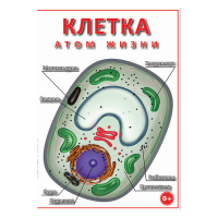 DVD Клетка - "атом жизни" - «globural.ru» - Волгодонск