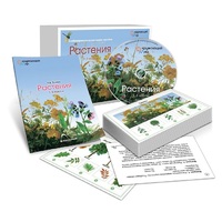 Комбинированное наглядное пособие «Растения» - «globural.ru» - Волгодонск
