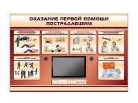 Многофункциональный интерактивный стенд-тренажер "Оказание первой помощи пострадавшим" для учащихся общеобразовательных учреждений - «globural.ru» - Волгодонск