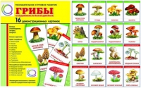 Демонстрационные карточки  "Грибы съедобные и не съедобные" - «globural.ru» - Волгодонск