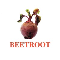 "Vegetables-Greenery-2" ("Овощи-Зелень-2") английские карточки Домана - «globural.ru» - Волгодонск