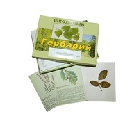 Гербарий "Дикорастущие растения" (30 видов, с иллюстрациями) - «globural.ru» - Волгодонск