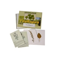 Гербарий "Лекарственные растения" (22 вида, с иллюстрациями) - «globural.ru» - Волгодонск