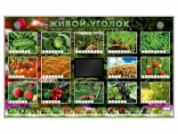Комплект оборудования "Живой уголок" (растения) - «globural.ru» - Волгодонск
