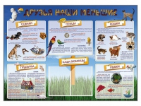 Стенд-уголок "Друзья наши меньшие" - «globural.ru» - Волгодонск