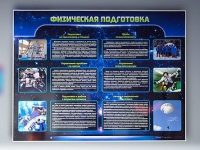 Стенд "Физическая подготовка" (вариант 2) - «globural.ru» - Волгодонск