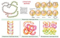Плакаты и таблицы по общей химии - «globural.ru» - Волгодонск