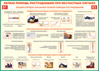  Таблица Общий порядок оказания первой помощи пострадавшим 1000*1400 винил	 - «globural.ru» - Волгодонск