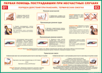 Таблица Порядок действий при ранениях и термических ожогах	 1000*1400 винил - «globural.ru» - Волгодонск