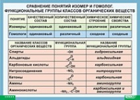 Химия. Сравнение понятий изомер и гомолог. Функциональные группы классов органических веществ (винил) - «globural.ru» - Волгодонск