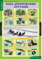 Окружающий мир 4 класс (комплект таблиц) - «globural.ru» - Волгодонск