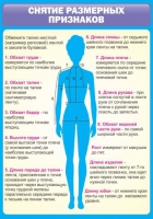 Стенд "Снятие мерок" (вариант 2) - «globural.ru» - Волгодонск