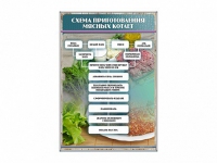 Стенд "Схема приготовления мясных котлет" - «globural.ru» - Волгодонск