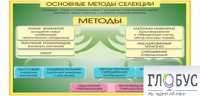 Стенд "Методы селекции и биотехнологии" - «globural.ru» - Волгодонск
