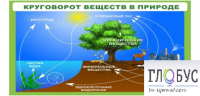 Стенд "Круговорот веществ" - «globural.ru» - Волгодонск