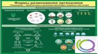 Стенд "Формы размножения организмов" - «globural.ru» - Волгодонск