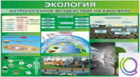 Стенд "Экология. Антропогенное воздействие на биосферу" - «globural.ru» - Волгодонск