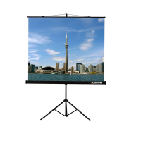 Проекционный экран на штативе Lumien Eco View (LEV-100105) 160x160 см - «globural.ru» - Волгодонск