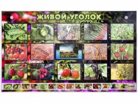 Комплект оборудования "Живой уголок" (растения) с тифлопереводом и сурдокомментариями - «globural.ru» - Волгодонск